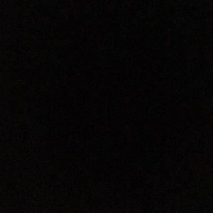 Meet your Posher, Evie